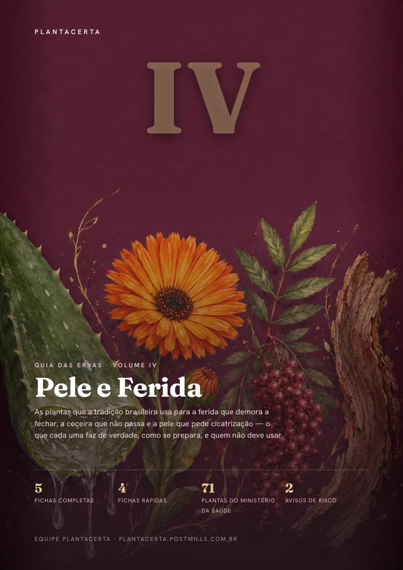 Capa do Guia das Ervas — Volume IV